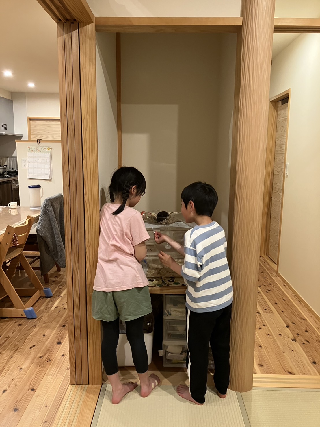 冬は暖かく夏は涼しく、家庭菜園も楽しめる家